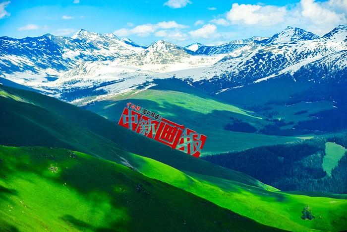 將夏天的“綠” 裝進(jìn)屏幕里，一組護(hù)眼壁紙請查收！