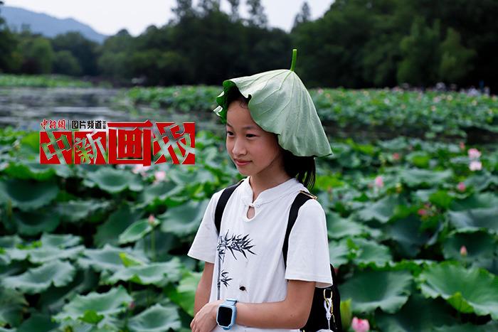 入伏有“涼”方 “花式”避暑輕松Get！