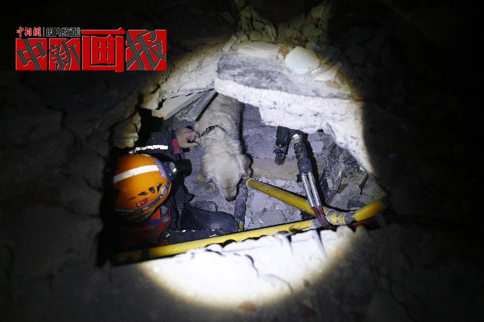汪汪隊(duì)立大功！廢墟中尋找生命之光的搜救犬
