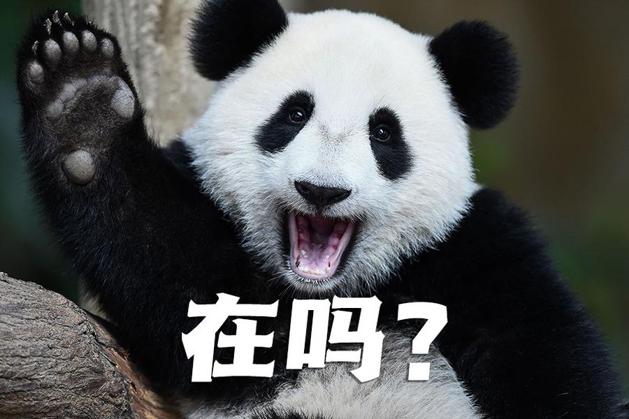 【世界微笑日特刊】嘿嘿，今天你笑了嗎？
